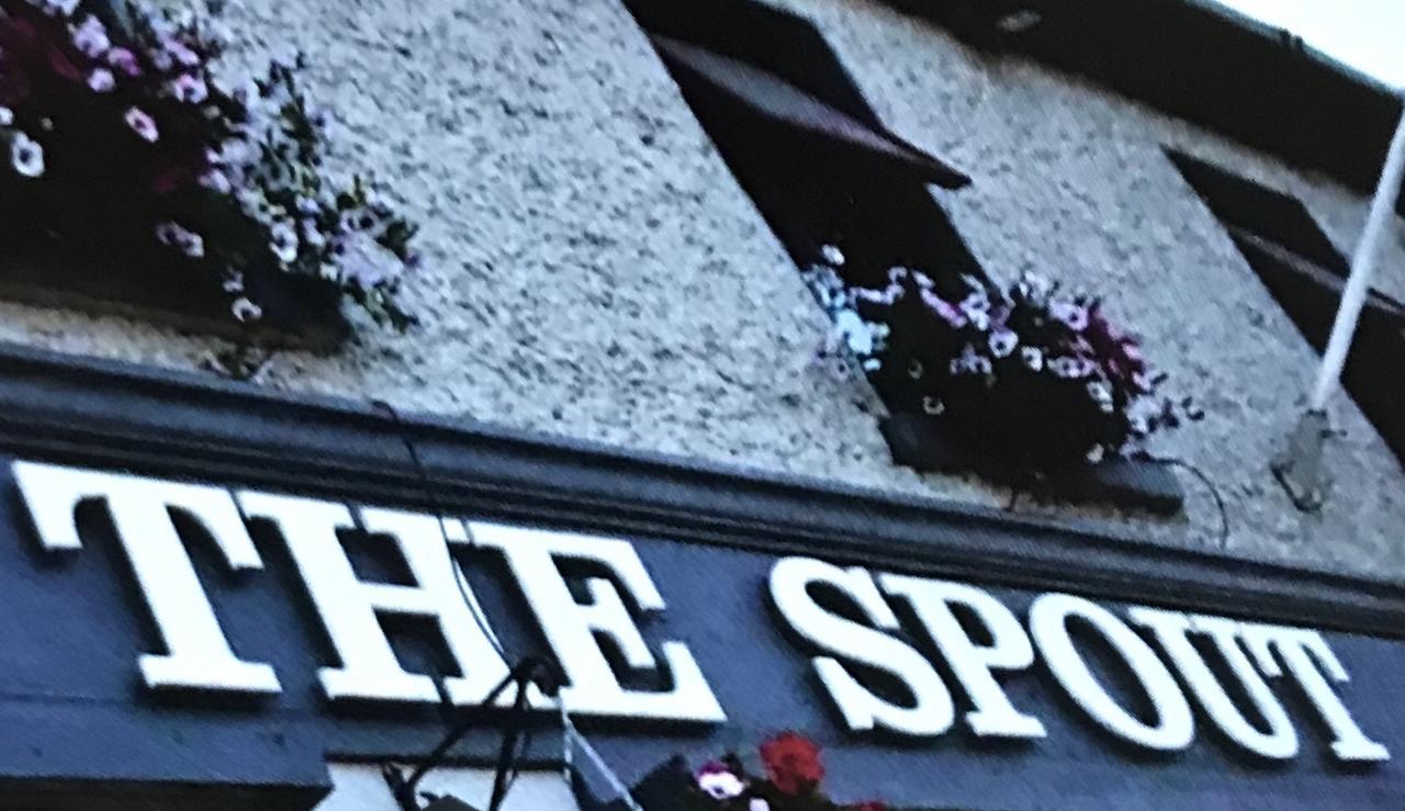 The Rooms At The Spout Kilcullen Экстерьер фото